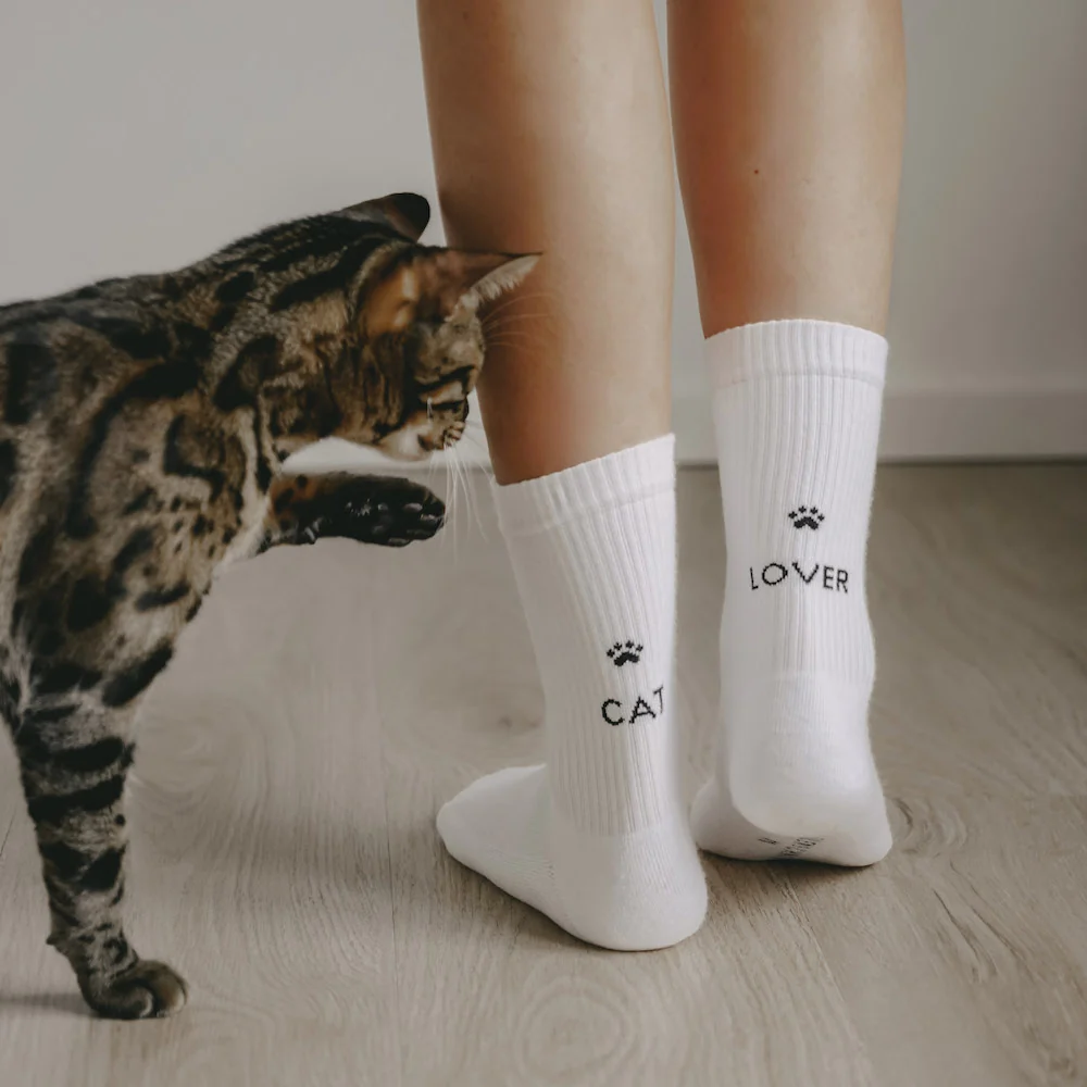 Eulenschnitt Socken Cat Lover weiß Größe 35-38 – Bild 2