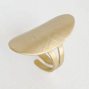 Ring Anita Valiente M, in silber und gold
