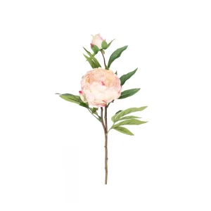 Pfingstrose Realtouch Rosa-Creme