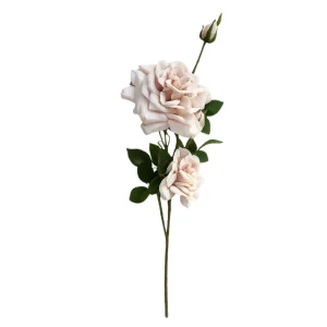 Realtouch Rose Cream-Rosa